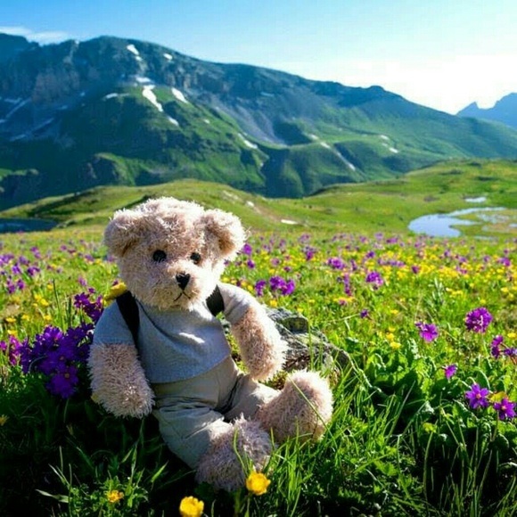 Hello poshers! - Picture 4 of 7